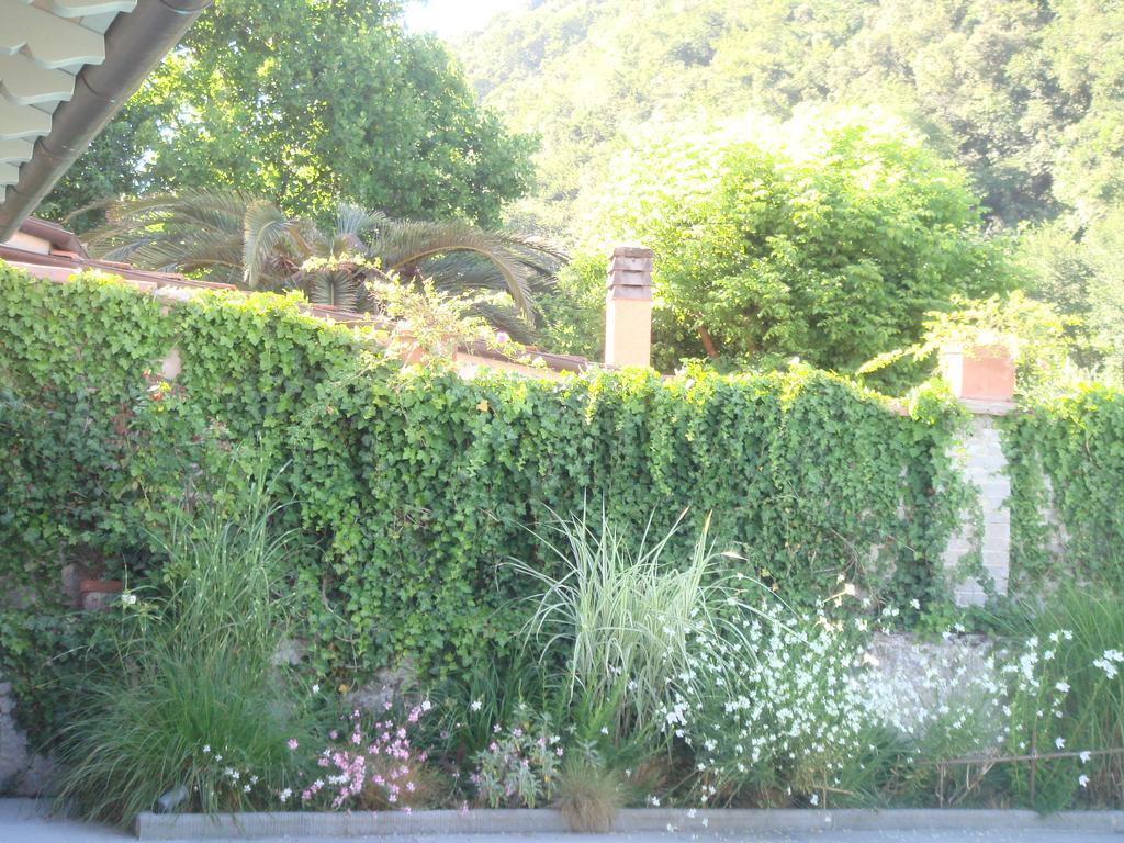 B&B Pieve Degli Artisti Pietrasanta Exterior photo